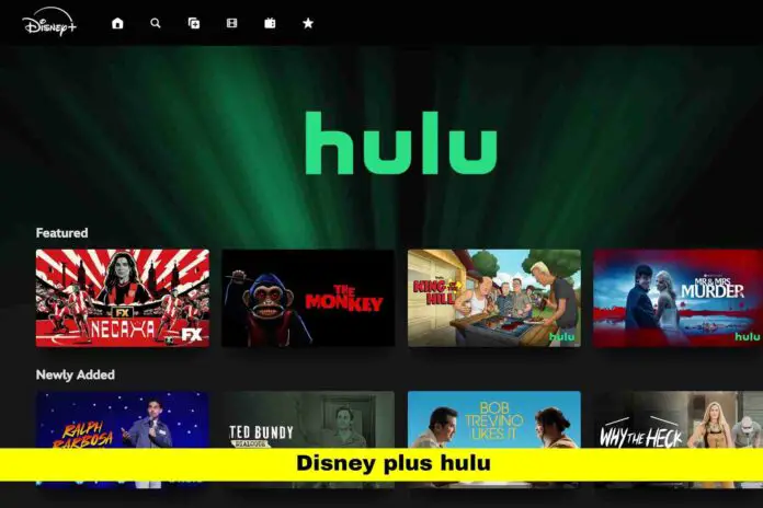 Disney Plus Hulu Disney Plus Hulu