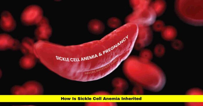 How Is Sickle Cell Anemia Inherited
