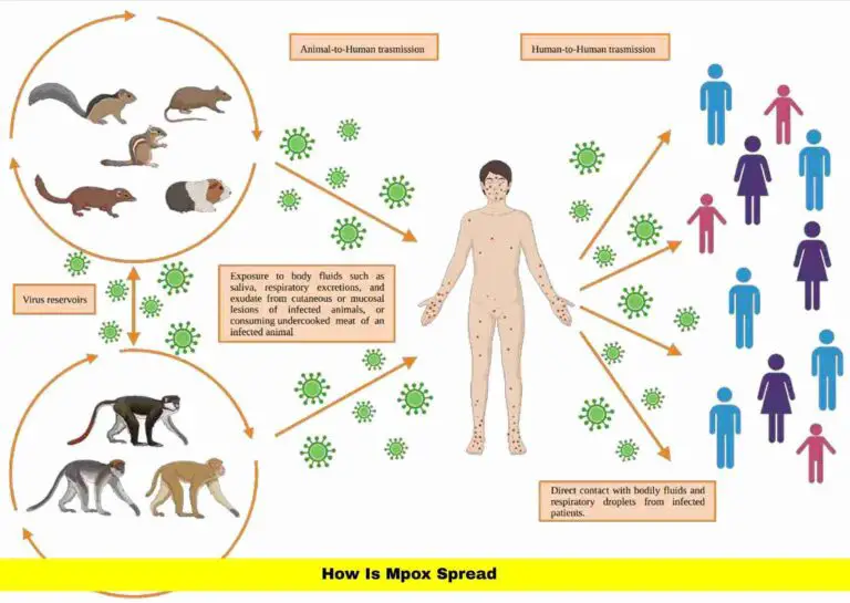 How Is Mpox Spread