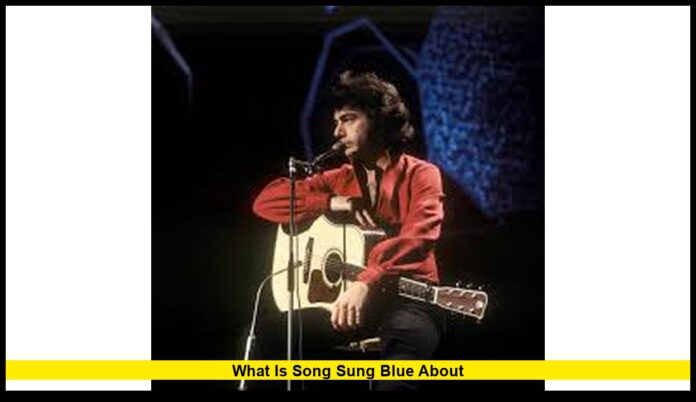 WHAT IS SONG SUNG BLUE ABOUT