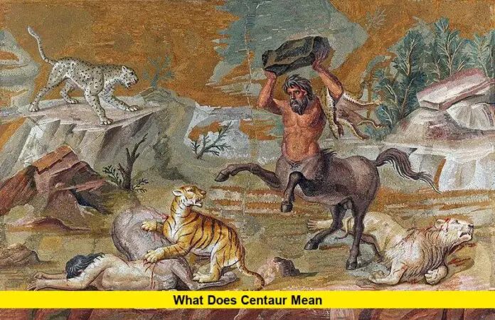 What Does Centaur Mean What Does Centaur Mean