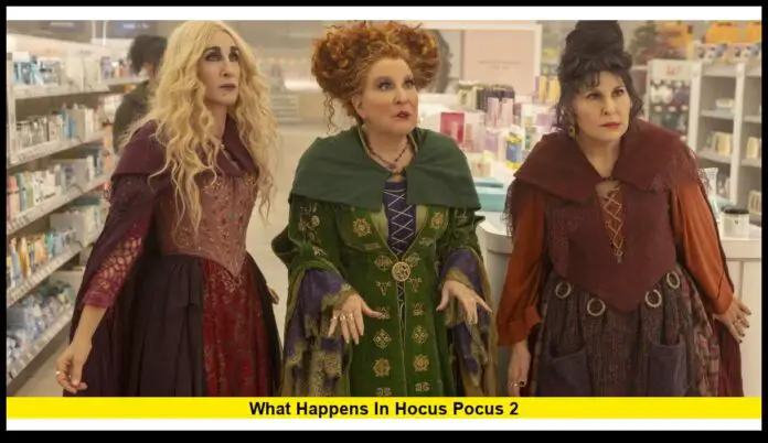 Full Plot Summary and Key Details About Disney’s Witchy Sequel