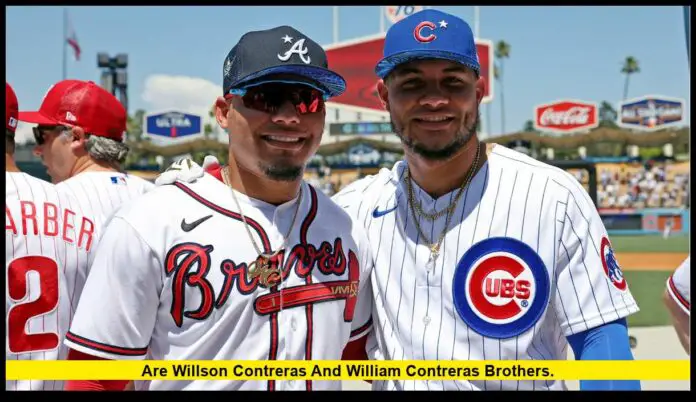 are Willson Contreras and William Contreras brothers
