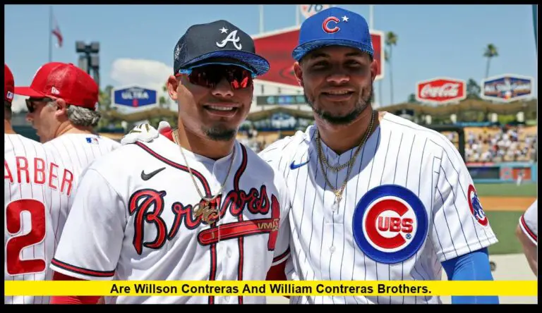 are Willson Contreras and William Contreras brothers