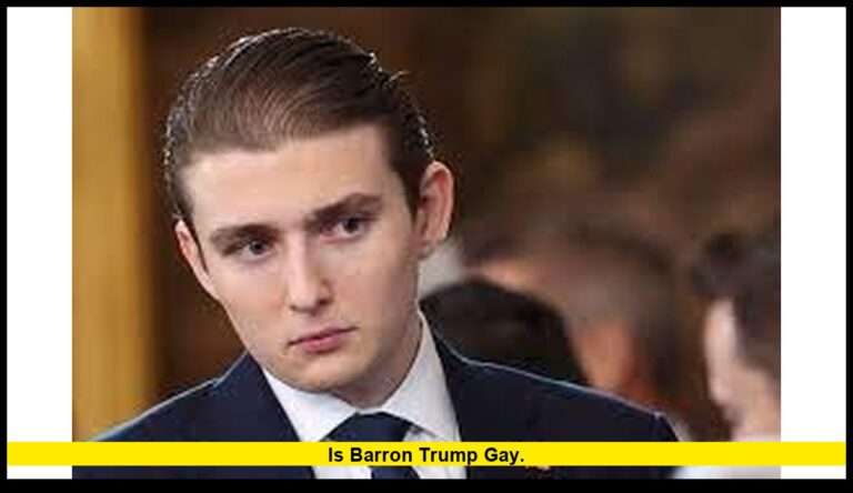 is Barron Trump gay