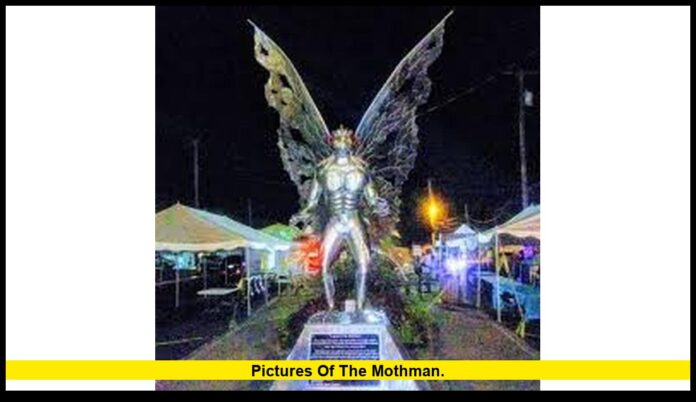 pictures of the Mothman