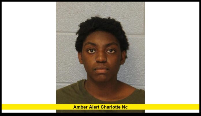 Current 2025 Status and Verified Updates