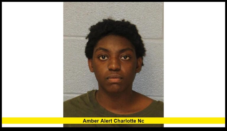 Current 2025 Status and Verified Updates