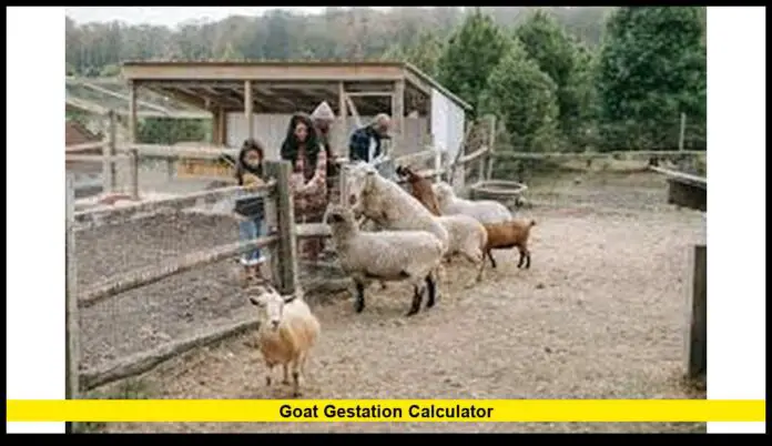 Goat Gestation Calculator Accurate Tool for Predicting Kidding Dates in 2025