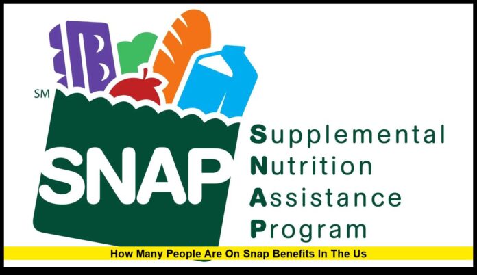 How Many People Are on SNAP Benefits in the US 2025 Update and Key Insights