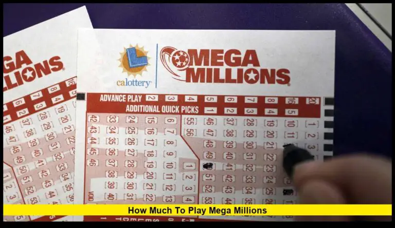 Updated Cost and Game Details for 2025