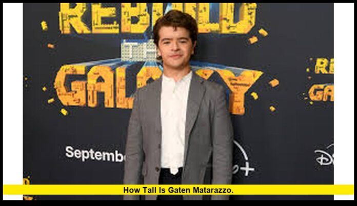 How Tall Is Gaten Matarazzo.