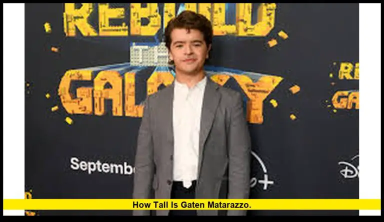 How Tall Is Gaten Matarazzo.