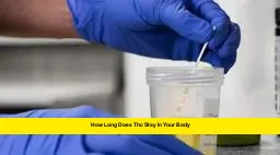 How long does THC stay in your body How Long Does THC Stay in Your Body