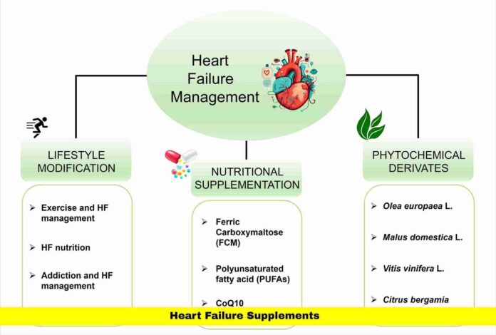 Heart Failure Supplements