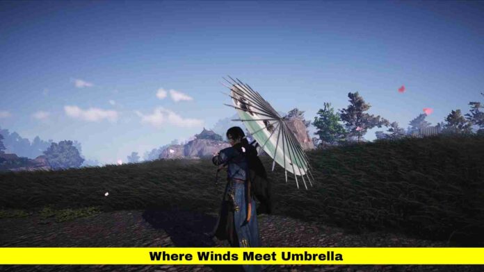 Where Winds Meet Umbrella