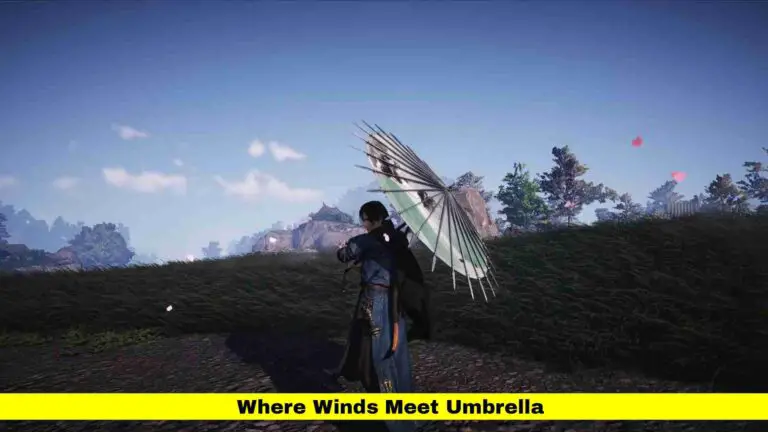 Where Winds Meet Umbrella