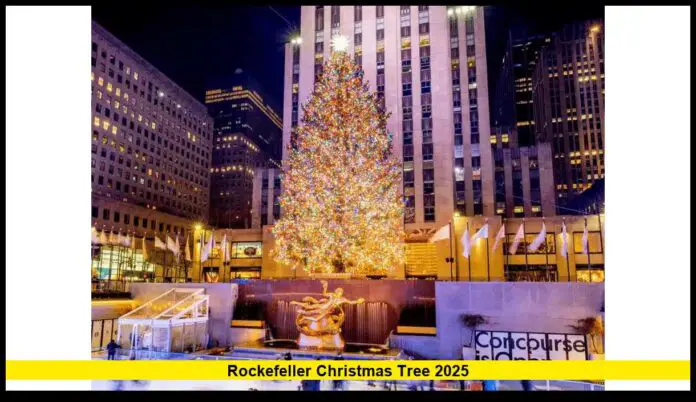Rockefeller Christmas Tree 2025 Lighting Date, Height, and Everything to Know This Holiday Season