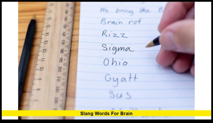 Slang Words for Brain A Fun Look at How Americans Use Creative Terms for Intelligence in 2025
