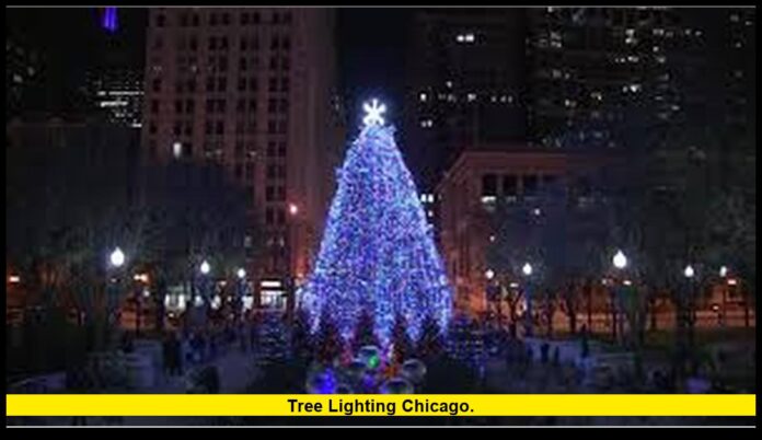 Tree Lighting Chicago. tree lighting Chicago