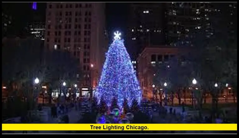 tree lighting Chicago