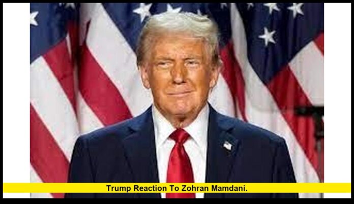 Trump reaction to Zohran Mamdani. Trump reaction to Zohran Mamdani