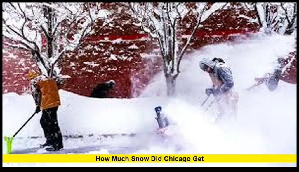 How Much Snow Did Chicago Get Latest Update