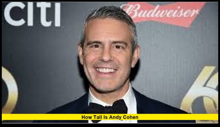 How Tall Is Andy Cohen – The Latest Verified Update