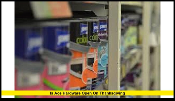 is ace hardware open on thanksgiving