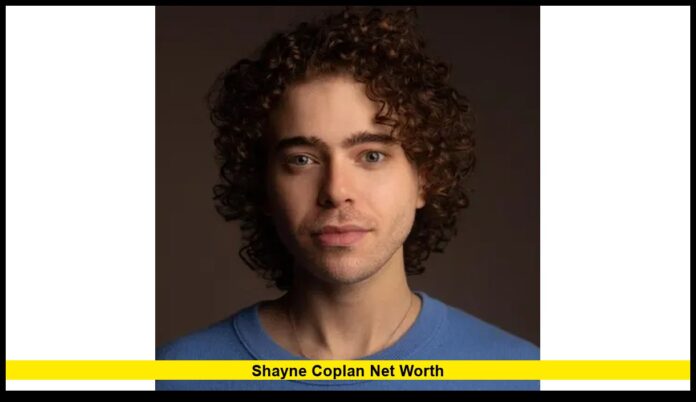 shayne coplan net worth