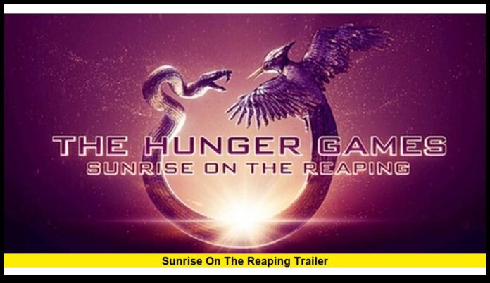 sunrise on the reaping trailer