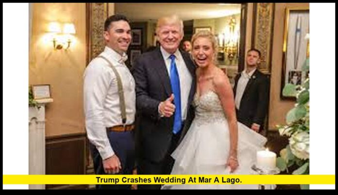 trump crashes wedding at mar a lago