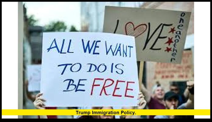 trump immigration policy. trump immigration policy.