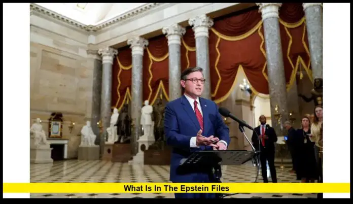 what is in the epstein files