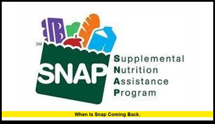 when is SNAP coming back