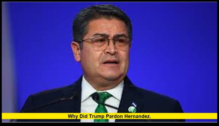 why did trump pardon hernandez