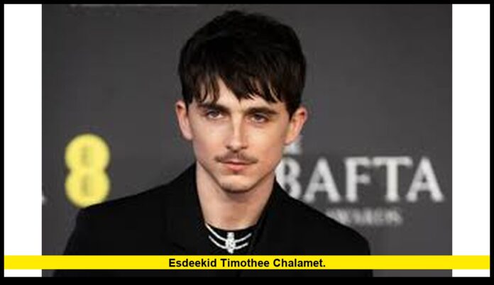 Esdeekid timothee chalamet. Esdeekid timothee chalamet.