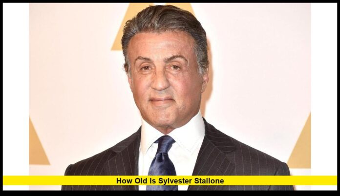 How Old Is Sylvester Stallone Age, Career, and Life of the Legendary Actor