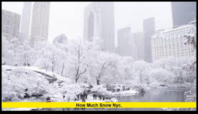 How much snow NYC. How much snow NYC.