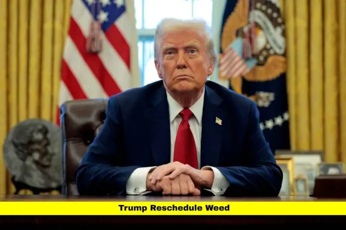 Trump Reschedule Weed Trump Reschedule Weed