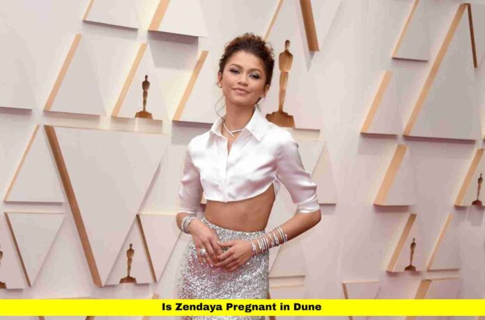 Is Zendaya Pregnant in Dune Is Zendaya Pregnant in Dune