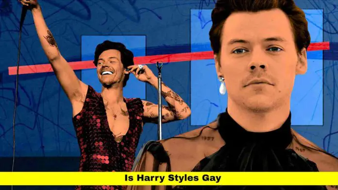 Is Harry Styles Gay Is Harry Styles Gay