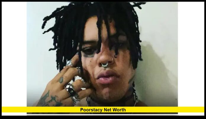 The Rise, Career, and Earnings of the Genre-Bending Music Star