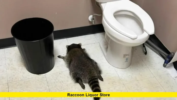 Raccoon Liquor Store Raccoon Liquor Store