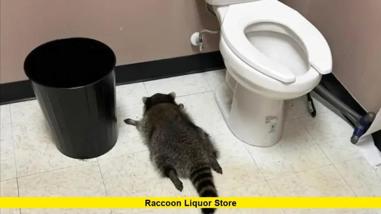 Raccoon Liquor Store