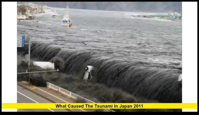 What Caused the Tsunami in Japan 2011 The Facts Behind the Disaster