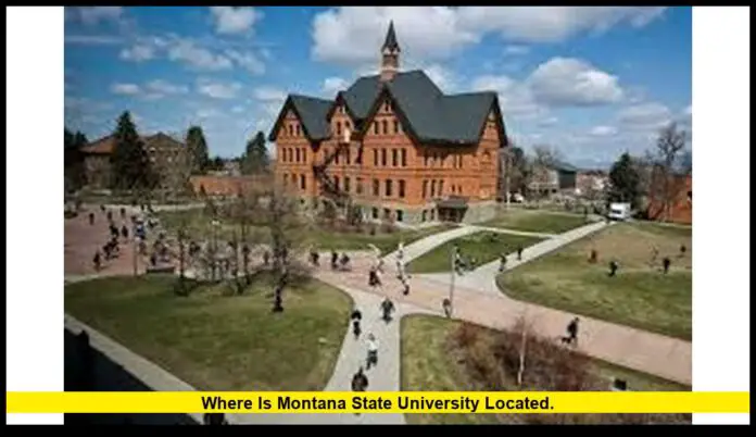 Where is Montana State University located. Where is Montana State University located.