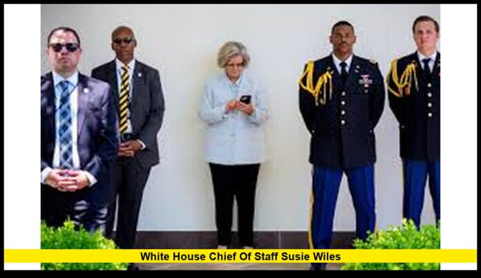 White House Chief of Staff Susie Wiles Leadership, Legacy, and the New Era in Washington