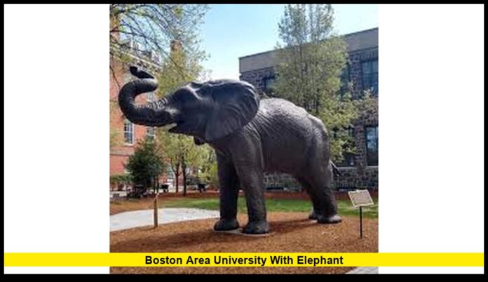 boston area university with elephant