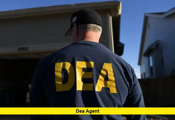 dea agent dea agent